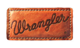 BCI-CS-Wrangler-logo